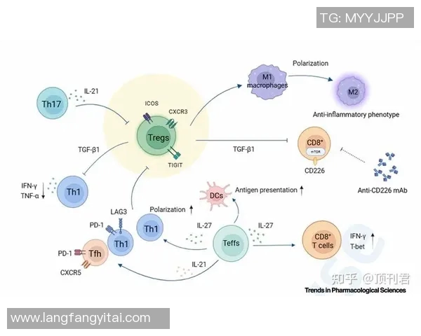 数据透视三分王本赛季投射起伏状态背后潜在原因与未来走势分析